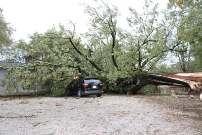 Storm damage