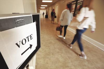 Voting Lee County file