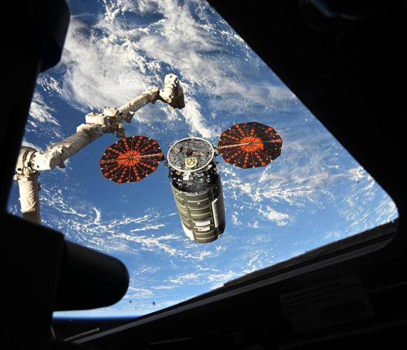 SWNS_SPACE_FRUIT_02_143309